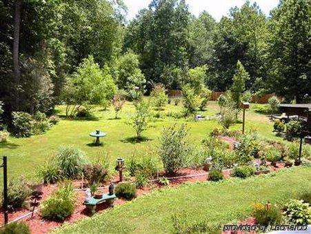Rock Laurel Bed And Breakfast Candler 设施 照片